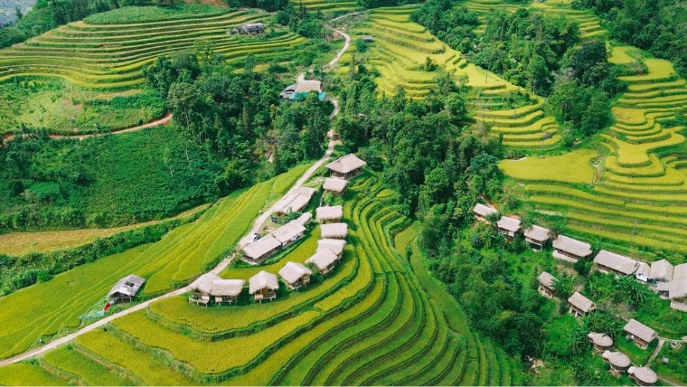 hoang-su-phi-rice-terrace
